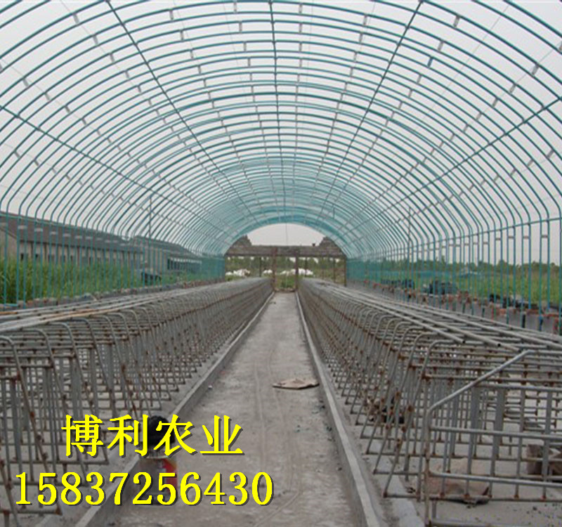 大棚蔬菜種植常見問題詳解！